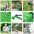 High Quality 15m Hose Pipe with Pipe Connector & 7 in 1 Spray Gun, Plastic Hose Pipe for Car Washing , Gardening, Watering Plants
